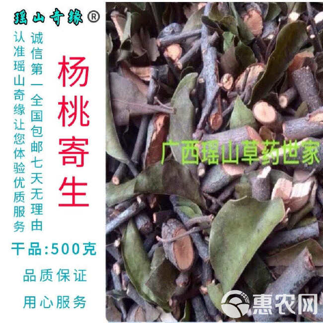 杨桃树寄生干品500克包邮酸杨桃树寄生洋桃寄生五敛子寄生