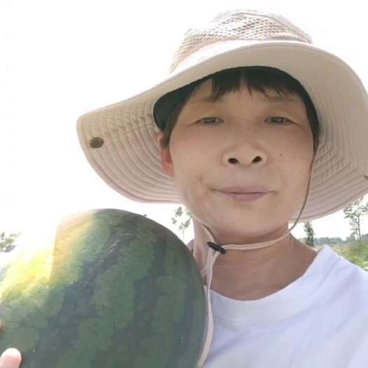 大荔县黑皮西瓜