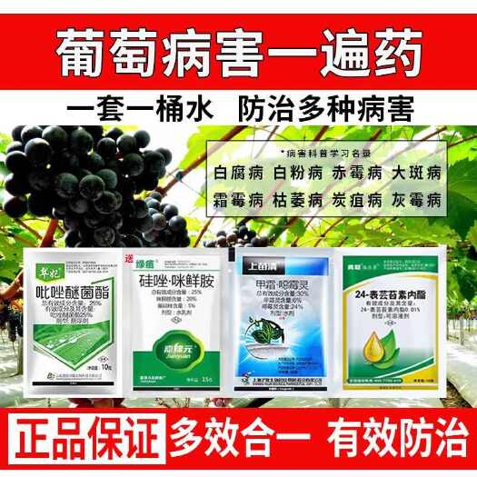 诸城市葡萄病害专用药全治组合装霜霉病灰霉白腐病防腐烂果套袋套餐农药