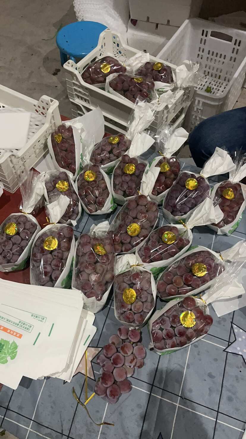 西昌阳光玫瑰葡萄