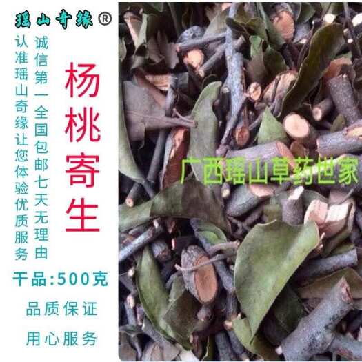 杨桃树寄生干品500克包邮酸杨桃树寄生洋桃寄生五敛子寄生