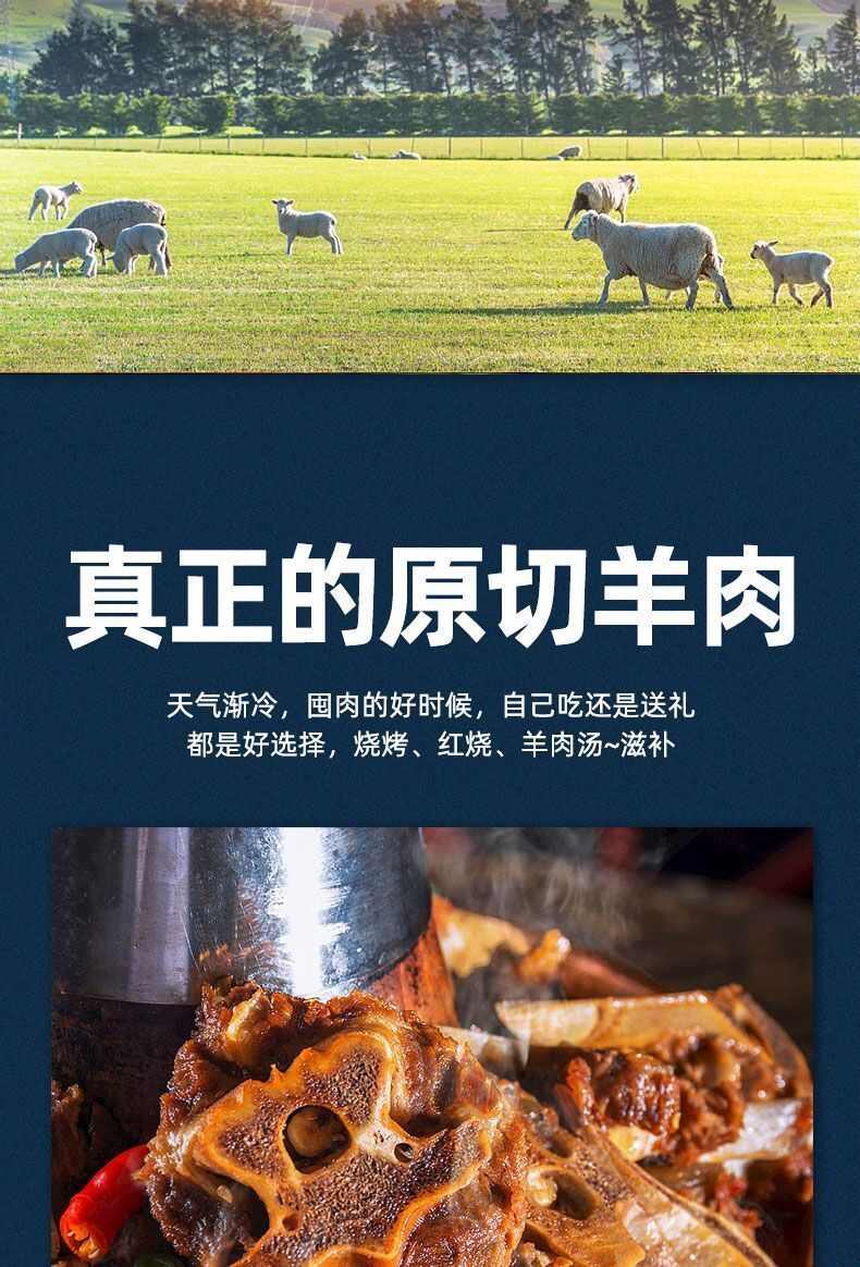 原切新鲜羊蝎子多肉羊肉脊骨脖骨羊骨头火锅食材新鲜羊蝎子批发