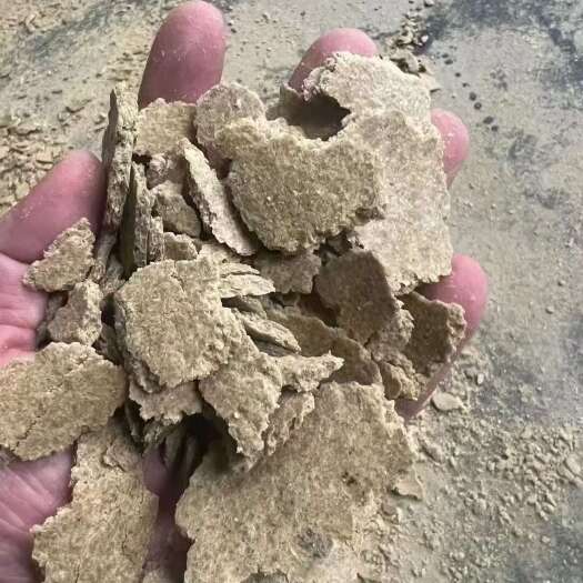 石家庄豆饼