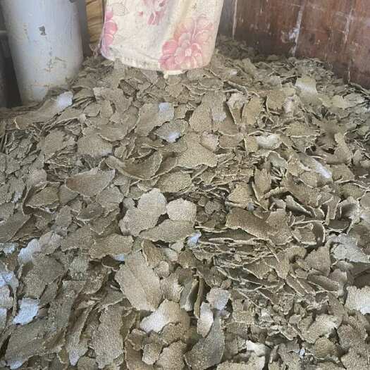  饼粕饲料