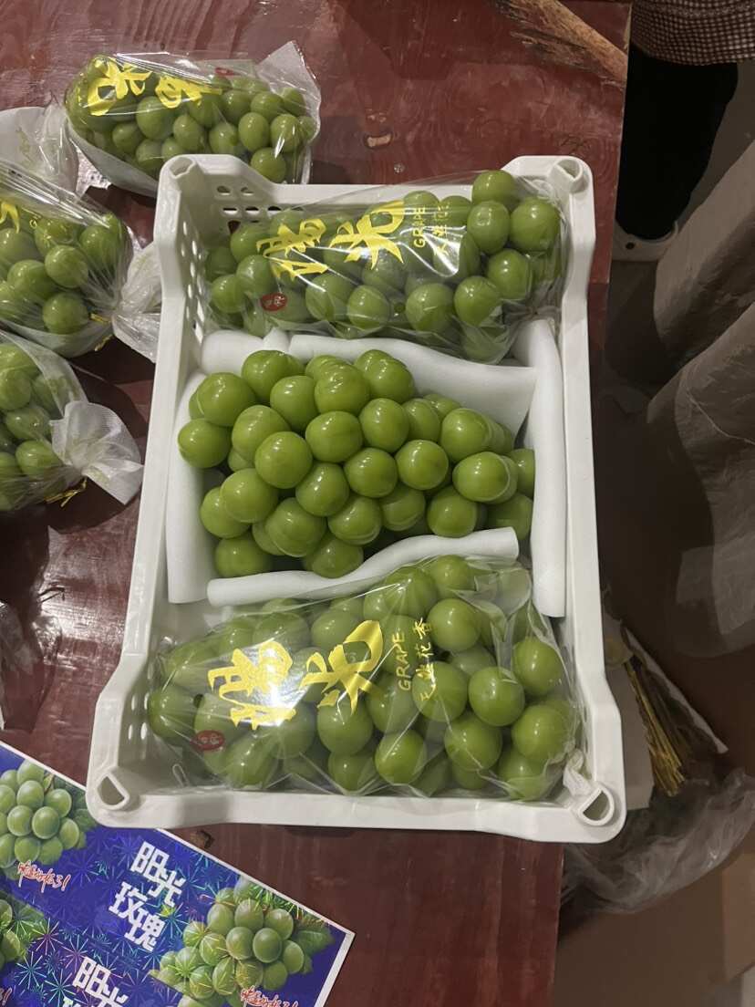 西昌阳光玫瑰葡萄