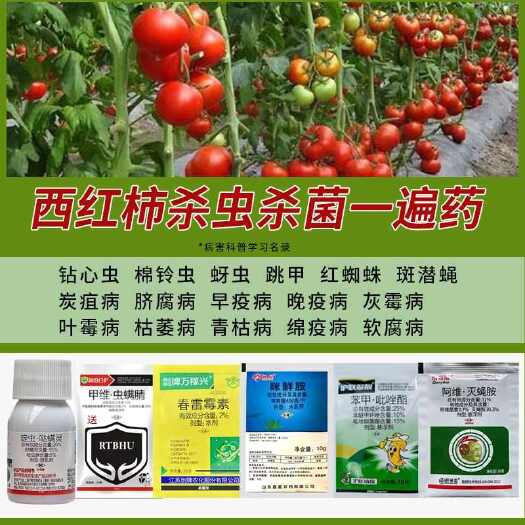 诸城市番茄西红柿病害专用药早晚疫病绵疫病毒枯萎杀虫剂杀菌剂农药套餐