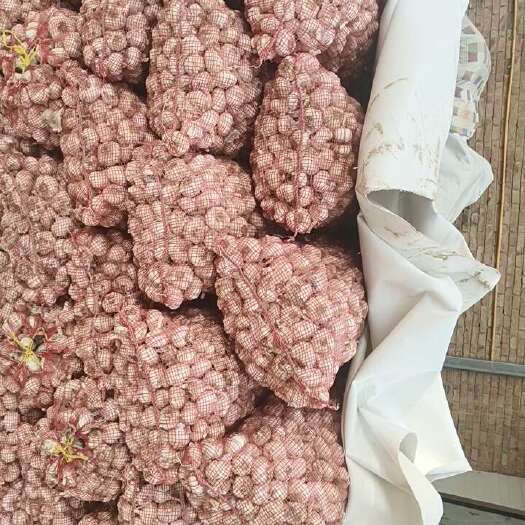 夏县大混级干蒜