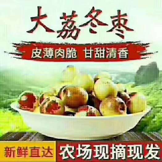 大荔县清甜爽口嘎嘣脆