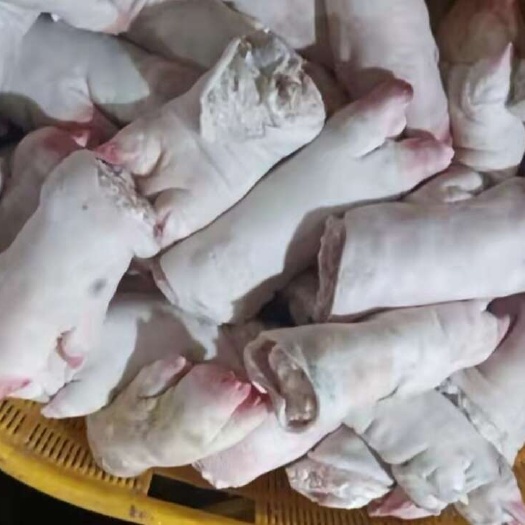 南宁精选猪蹄 卤猪蹄 烤猪蹄 处理干净 大量批发