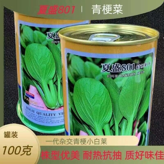 一代杂交青梗菜种子耐热耐抽苔四季种植油绿播期长菜种籽基地种植