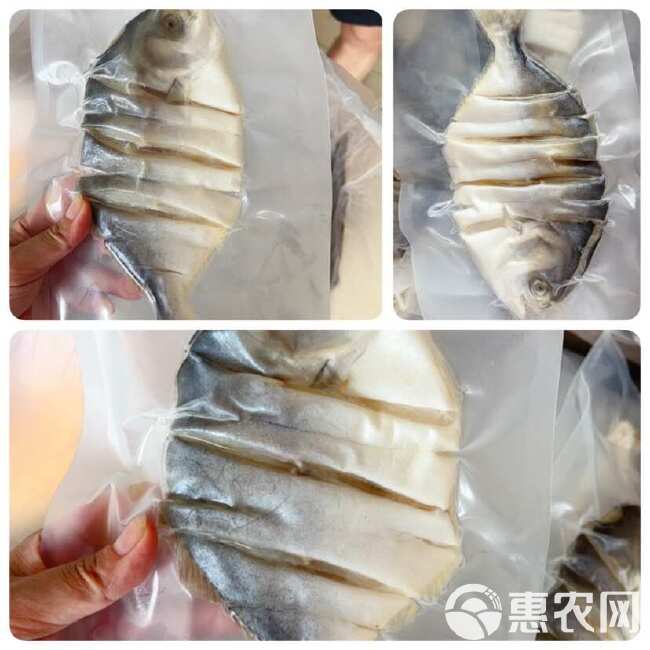 淡干生晒金鲳鱼干 地摊 电商 阳江特产金鲳鱼干 干鱼 鱼干