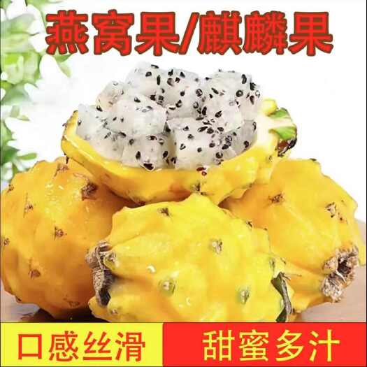 海口海南三亚燕窝果一件代发！各种规格！包邮包售后！