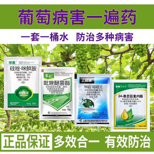 诸城市葡萄病害专用药霜霉病灰霉病白腐病白粉病炭疽病防腐烂果套餐农药