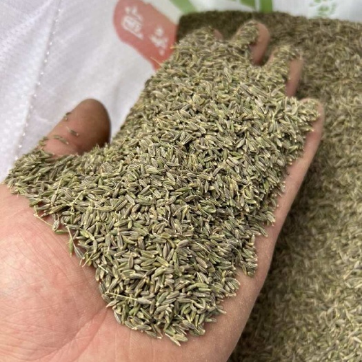 中牟县新货新疆孜然，颜色绿干度好，干净