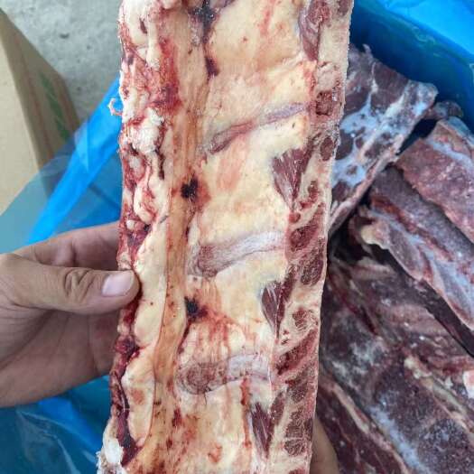 临沂66厂牛脊骨