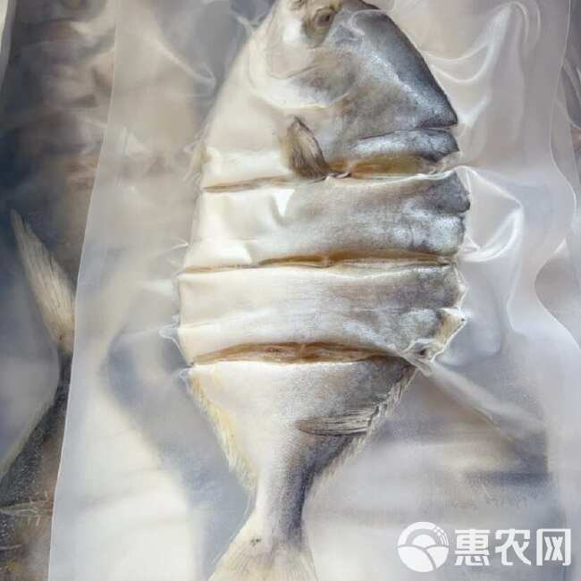 淡干生晒金鲳鱼干 地摊 电商 阳江特产金鲳鱼干 干鱼 鱼干