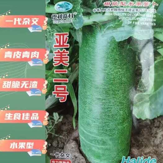 武汉青萝卜种子亚美水果萝卜种籽一代杂交中早熟绿皮绿肉抗病生食基地