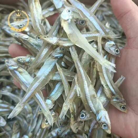 佛山小鱼干 地摊 电商 淡水小鱼干 白凡鱼干 公干鱼 银鱼干