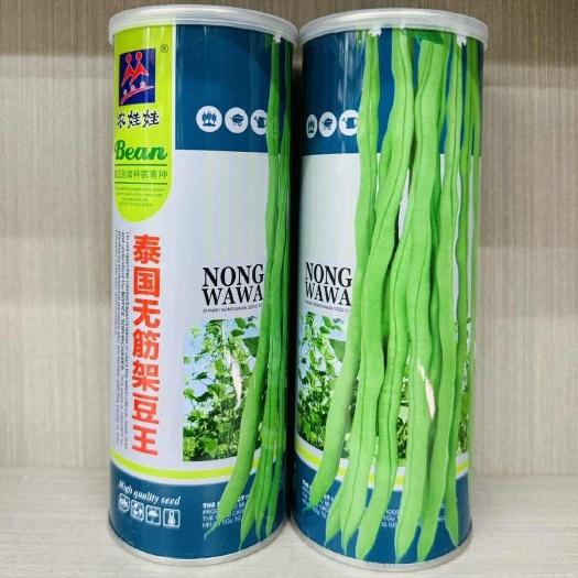 沭阳县正品泰国无筋架豆王种子长豆角芸豆种籽超长无筋豆四季豆抗病