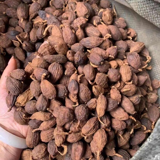 成都云南草果
