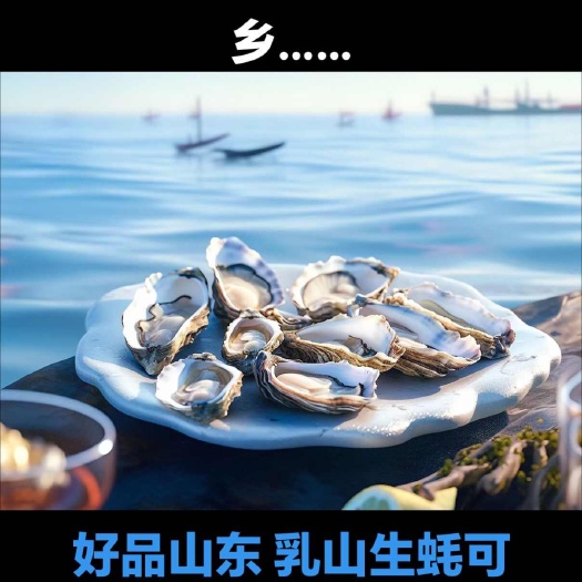 乳山市【个大饱满】山东净化蚝 乳山生蚝 可以生吃的牡蛎