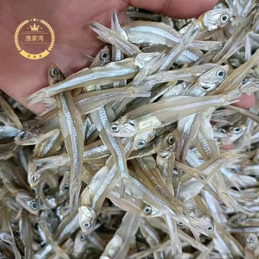 9成干小魚(yú)干 地?cái)?電商 淡干小魚(yú)干 公干魚(yú)干 白帆魚(yú)干