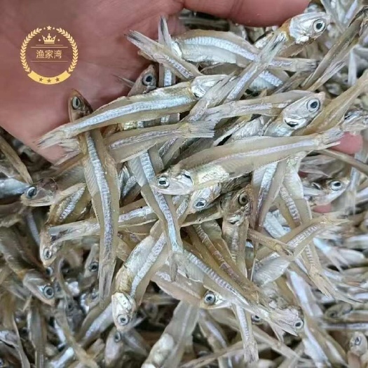 9成干小鱼干 地摊 电商 淡干小鱼干 公干鱼干 白帆鱼干