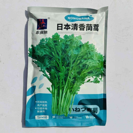 日本清香茼蒿种子速生长大田基地种植抗热耐湿口感脆爽抗病
