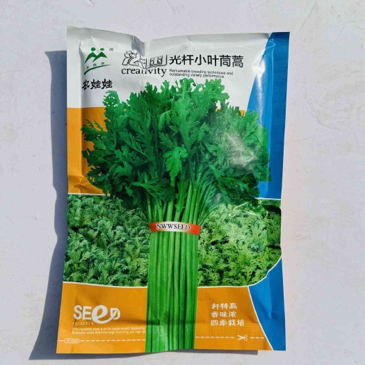 沭阳县光杆小叶茼蒿种子抗寒速生长大田基地种植茼蒿种籽叶小抗病