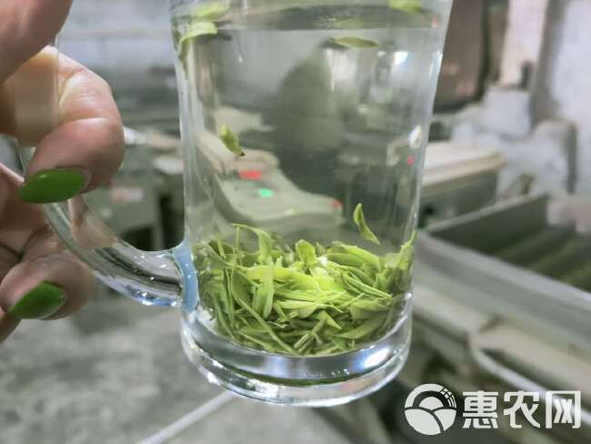 供应绿茶毛尖茶硒茶条形毛尖茶。