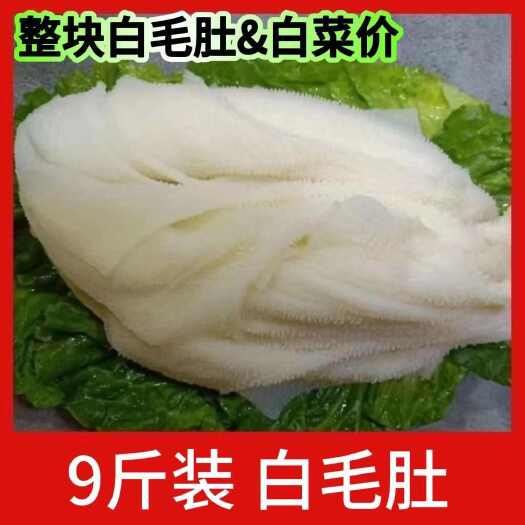 整个白毛肚新鲜毛肚批发带底板牛百叶千层火锅食材餐饮配菜串串