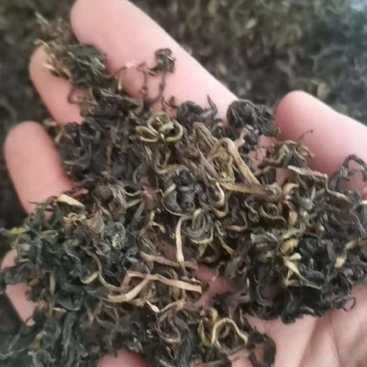 亳州蒲公英茶 无硫蒲公英茶