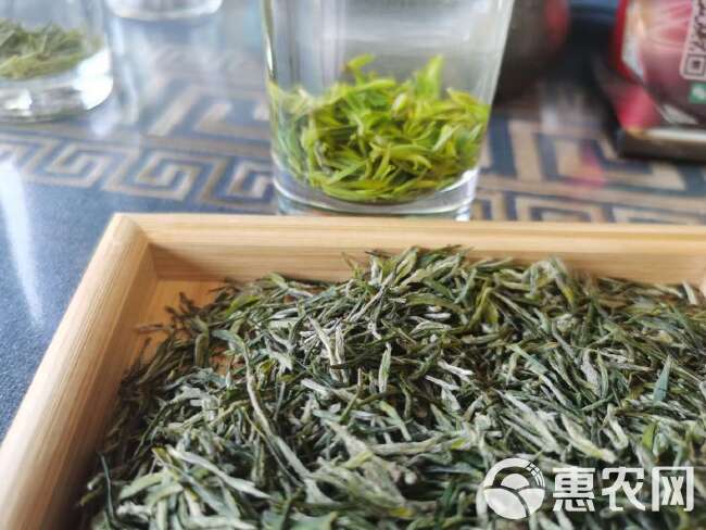 供应绿茶毛尖茶硒茶条形毛尖茶。