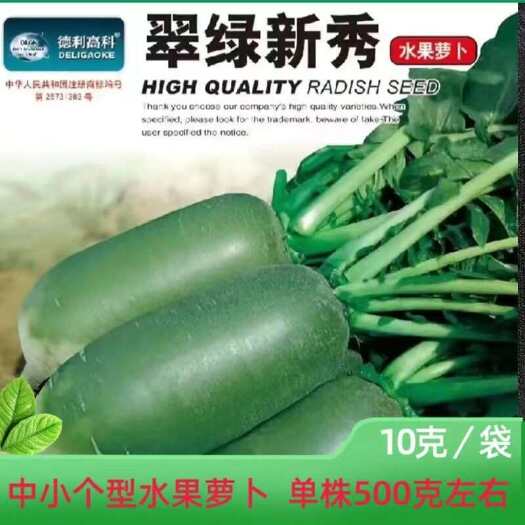 武汉青萝卜种子  翠绿新秀水果萝卜种籽中小个生食脆甜多汁深绿小叶