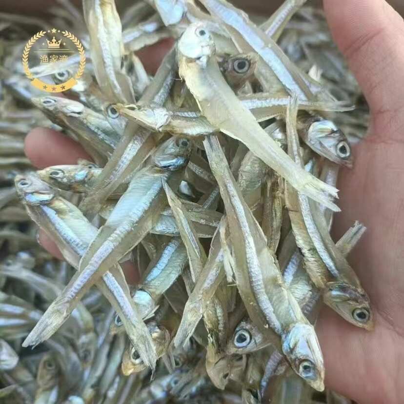 9成干小魚(yú)干 地?cái)?電商 淡干小魚(yú)干 公干魚(yú)干 白帆魚(yú)干