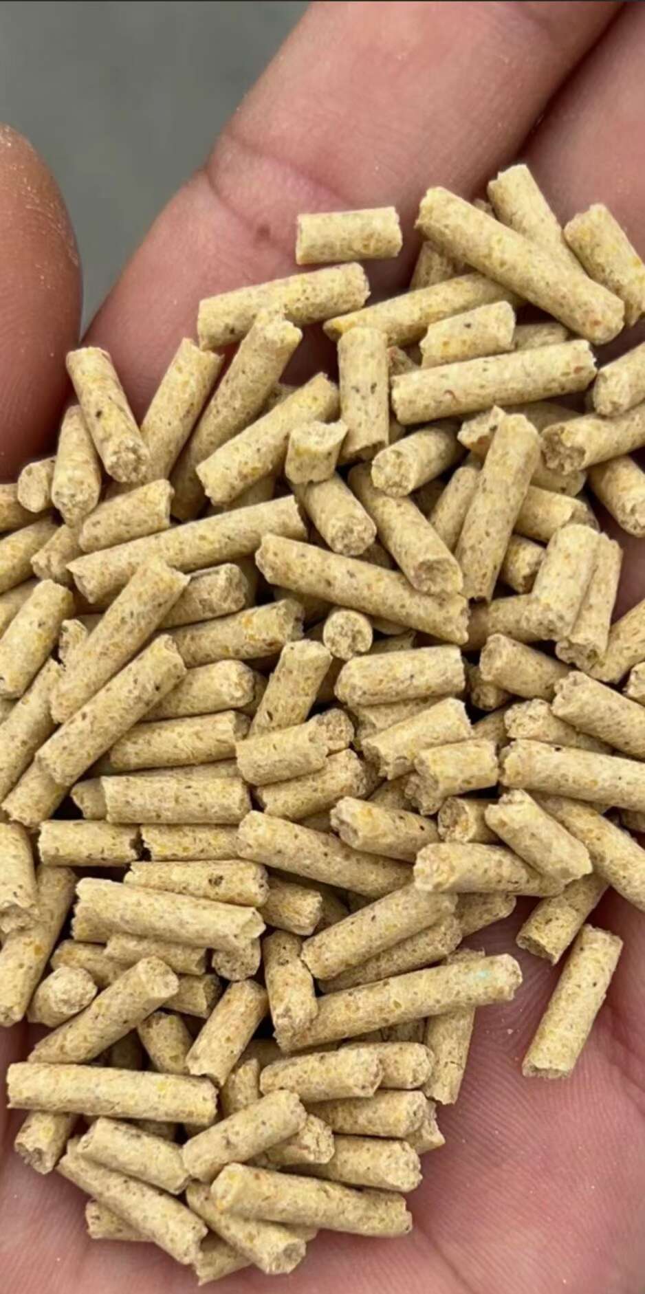 玉米颗粒饲料