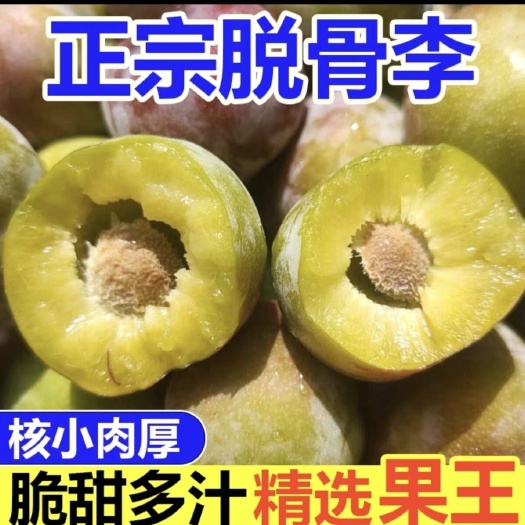 巫山热销/蜂糖李/青脆李/口感脆甜，一手货源当天採摘