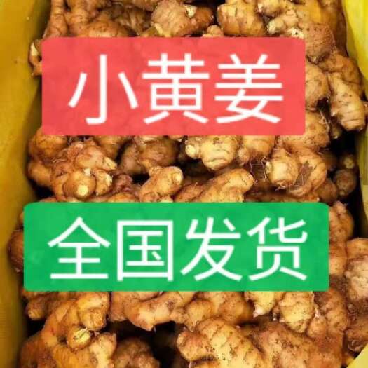 莒县云南小黄姜 代存代发 常年有货出口内销，保质保量，坏烂包赔