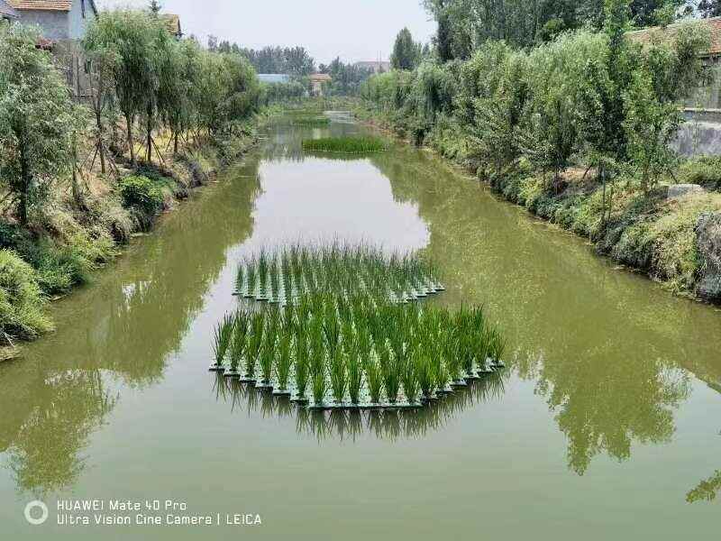 人工浮岛 生态浮岛 水质净化 水景工程亮化 水生态修复工程