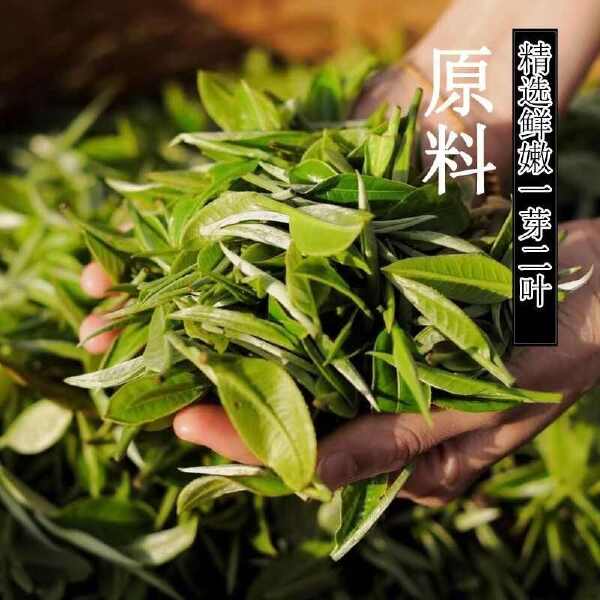 正品广东英德红茶英红九号浓香型功夫红茶袋装250克