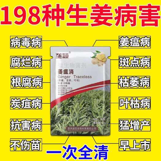 栾川县姜瘟专用药生姜病全管茎腐病叶枯病腐烂病根腐病烂脖子强菌剂