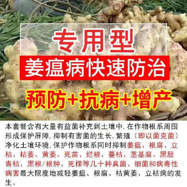 姜瘟专用药生姜病全管茎腐病叶枯病腐烂病根腐病烂脖子强菌剂