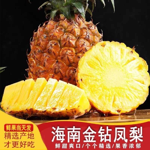 昌江县【海南发货】当季金钻凤梨手撕凤梨新鲜应季孕妇水果整箱包邮