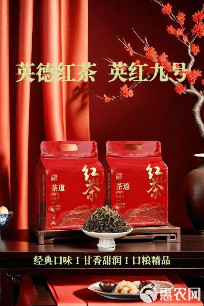 正品广东英德红茶英红九号浓香型功夫红茶袋装250克