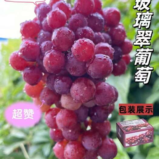 吐鲁番新疆吐鲁番无核玻璃翠葡萄产地直发顺丰冷运72小时排单发货
