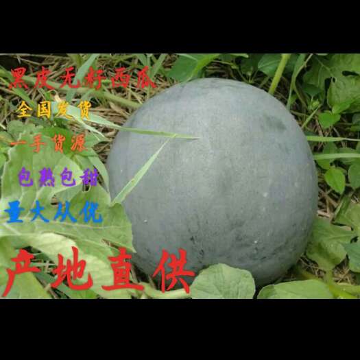 2025湖北汉川 黑皮无籽西瓜 (带霜)一茬瓜
