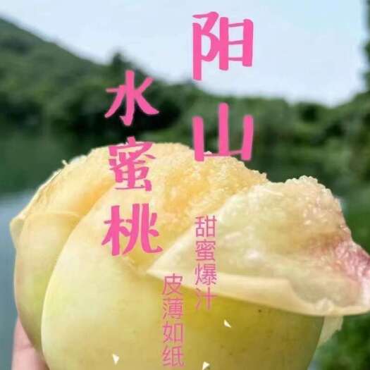 无锡阳山水蜜桃