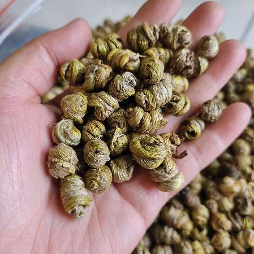 亳州水草石斛长年供应大货石斛规格齐全批发零售