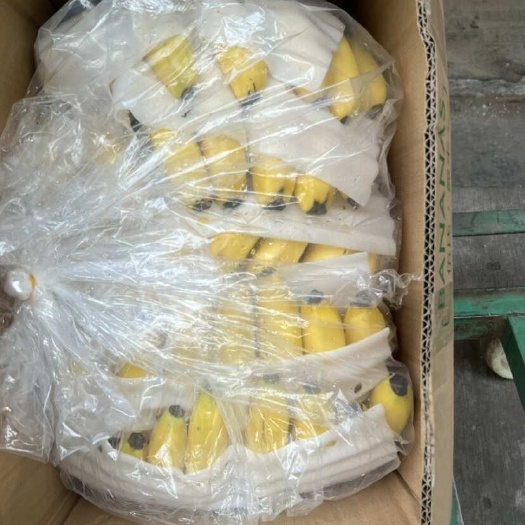 西安海南小蕉上高清，和大蕉一个效果，精品小蕉