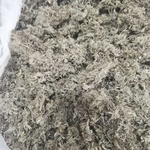汝阳县3月茵陈清洗烘干货，干净可泡茶，品质保证